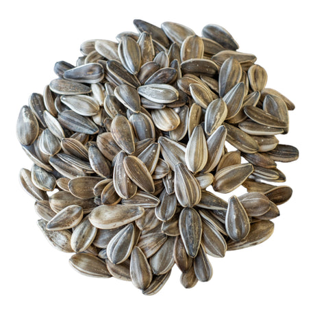 Sunflower Seeds